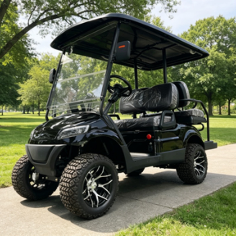Golf Cart 2 Seater Electric Go – Golf Bag Stand Cart recenzja i cena