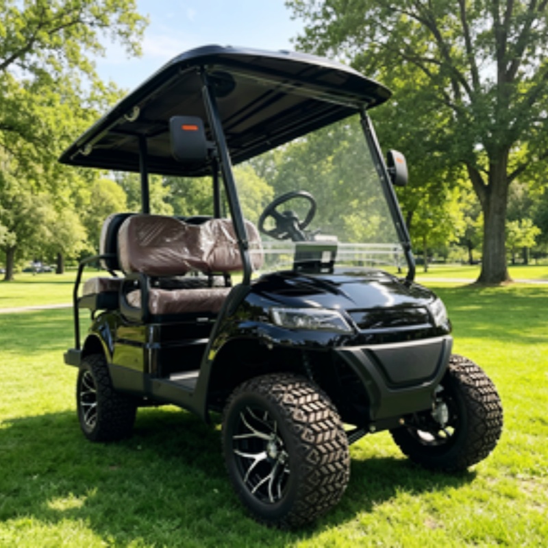 Golf Cart 2 Seater Electric Go – Golf Bag Stand Cart recenzja i cena