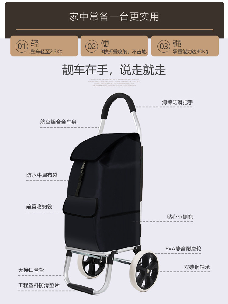 Climbing Shopping Cart Small P – Pull Cart Fold recenzja i cena